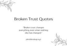 Broken Trust Quotes Broken Trust Quotes